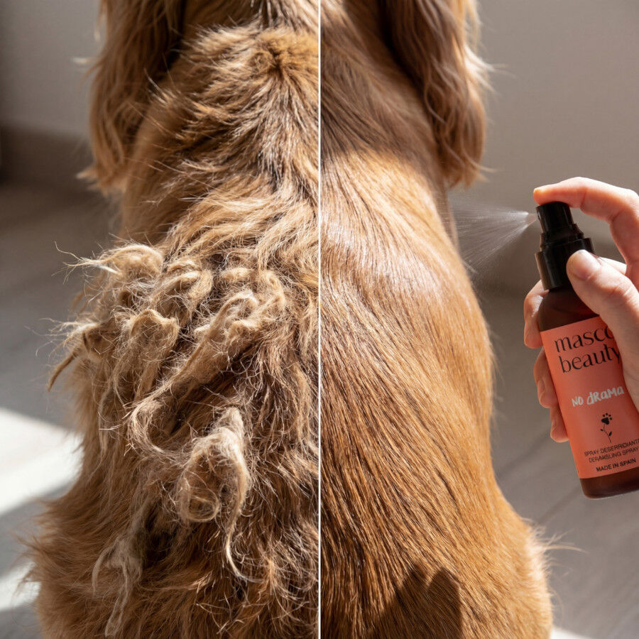 Masco Beauty Spray Desenredante para perros, , large Imagen numero 2