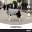 Gotoo Jersey de Punto Gris para perros, , large indicador imagen numero 6