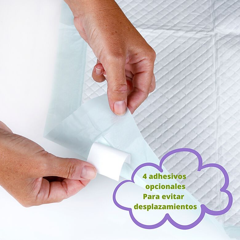 Peppo And Pets Empapadores Para Perros thumbnail