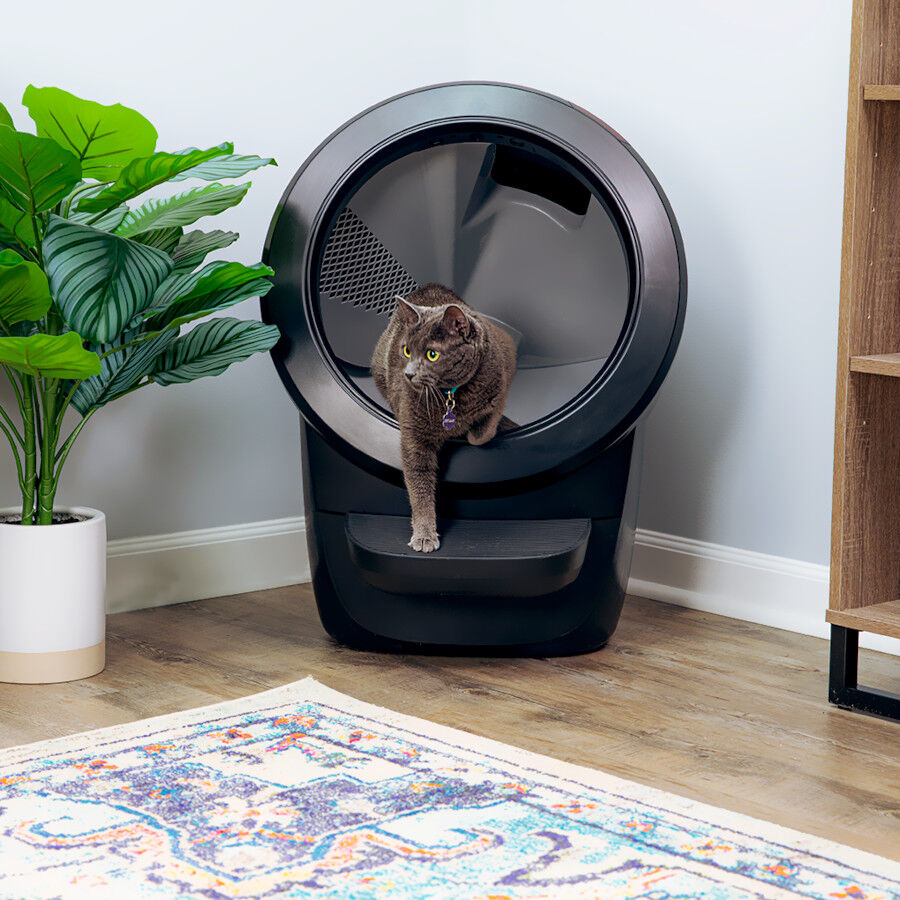 Litter-Robot Arenero Autolimpiable Negro para gatos, , large Imagen numero 4