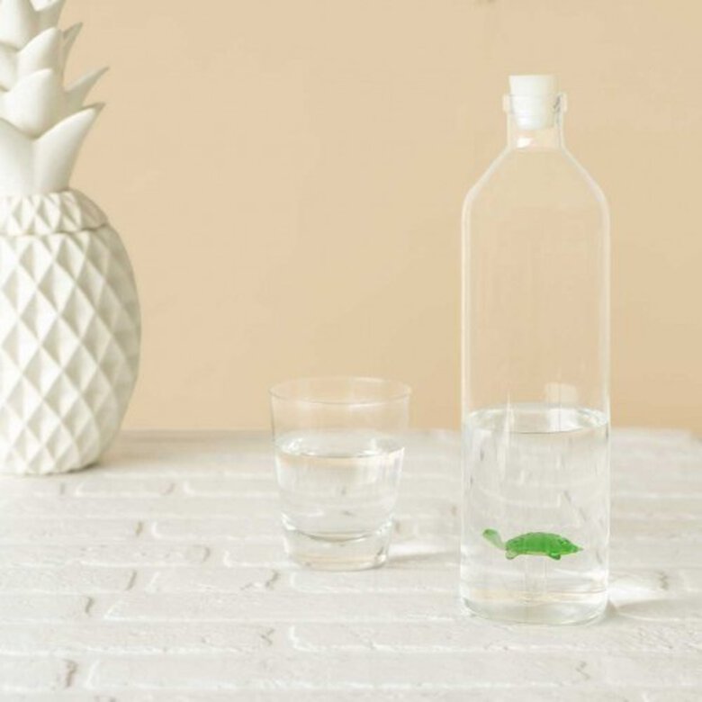 Botella Turtle para agua color Transparente, , large image number null