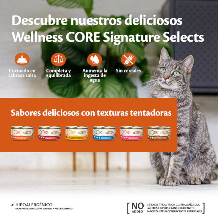 Wellness Core Chunky carne y pollo lata para gatos thumbnail