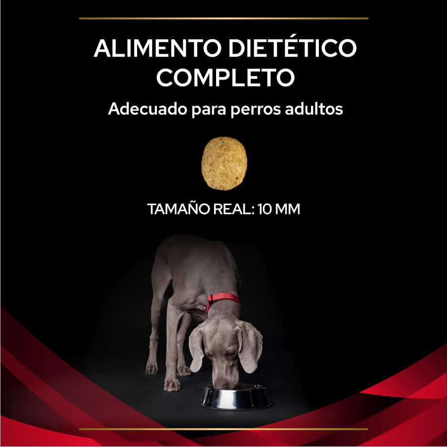 Pro Plan Veterinary Diets DM Diabetes Pienso para perros thumbnail