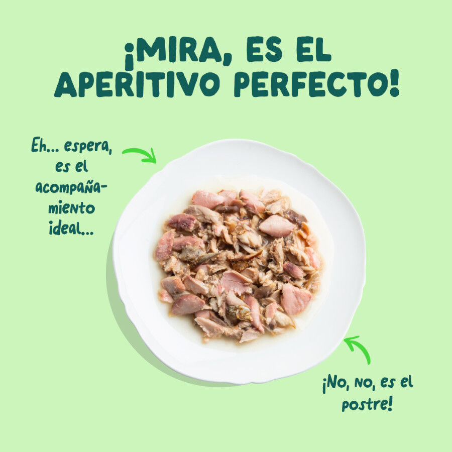 70 g Edgard & Cooper Filetes de Salm&oacute;n y Ceballa Lata para gatos, , large Imagen numero 3