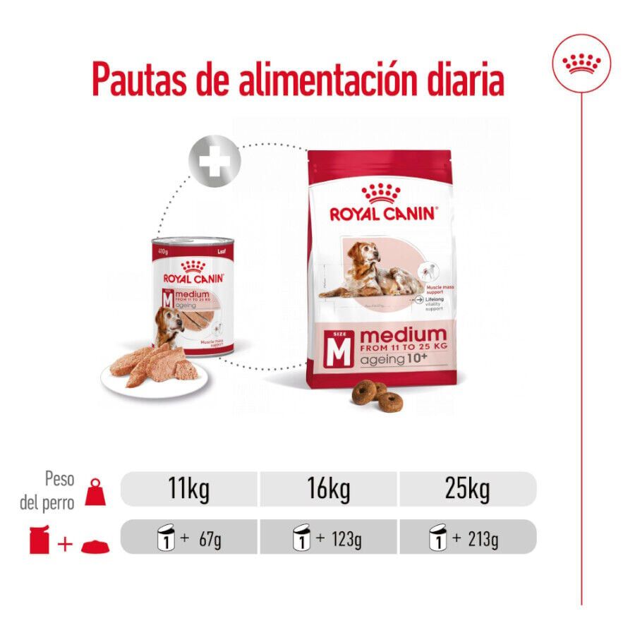 Royal Canin Medium 7+ Ageing lata para perros thumbnail