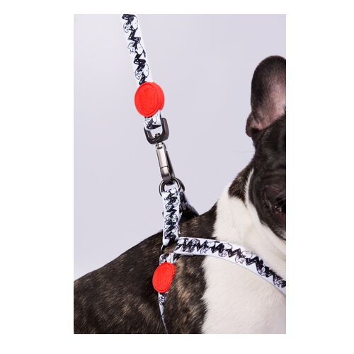 Correa de poli&eacute;ster para perros Zooz Pets Charlie Brown White, , large Imagen numero 3