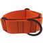 EGV - Collar Martingale. Collar galgo hecho a mano en Espa&ntilde;a (Naranja), , large indicador imagen numero 1