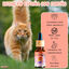 Paradise Salmón Aceite 10% CBD Relajante para Gatos y Perros | Hecho en España, , large indicador imagen numero 4