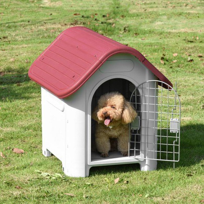 Caseta con puerta extraíble y elevada para perros, , large image number null