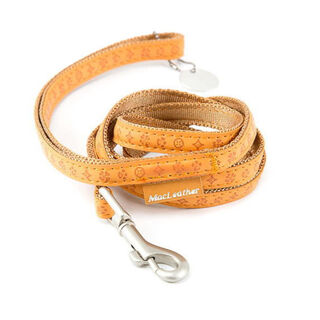 MacLeather Classic Correa Marrón para perros