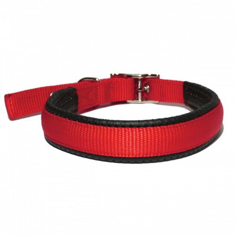 Collar Neopreno para perros color Rojo, , large image number null