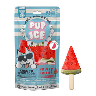 PUP ICE HELADO snack forma y sabor SANDÍA para perro