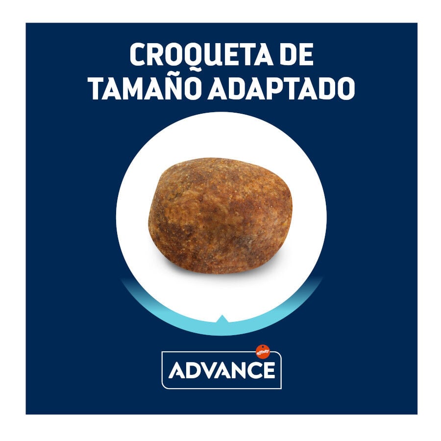 Advance Adult Labrador &amp; Golden Retriever Active Defense Pollo y Arroz pienso para perros thumbnail