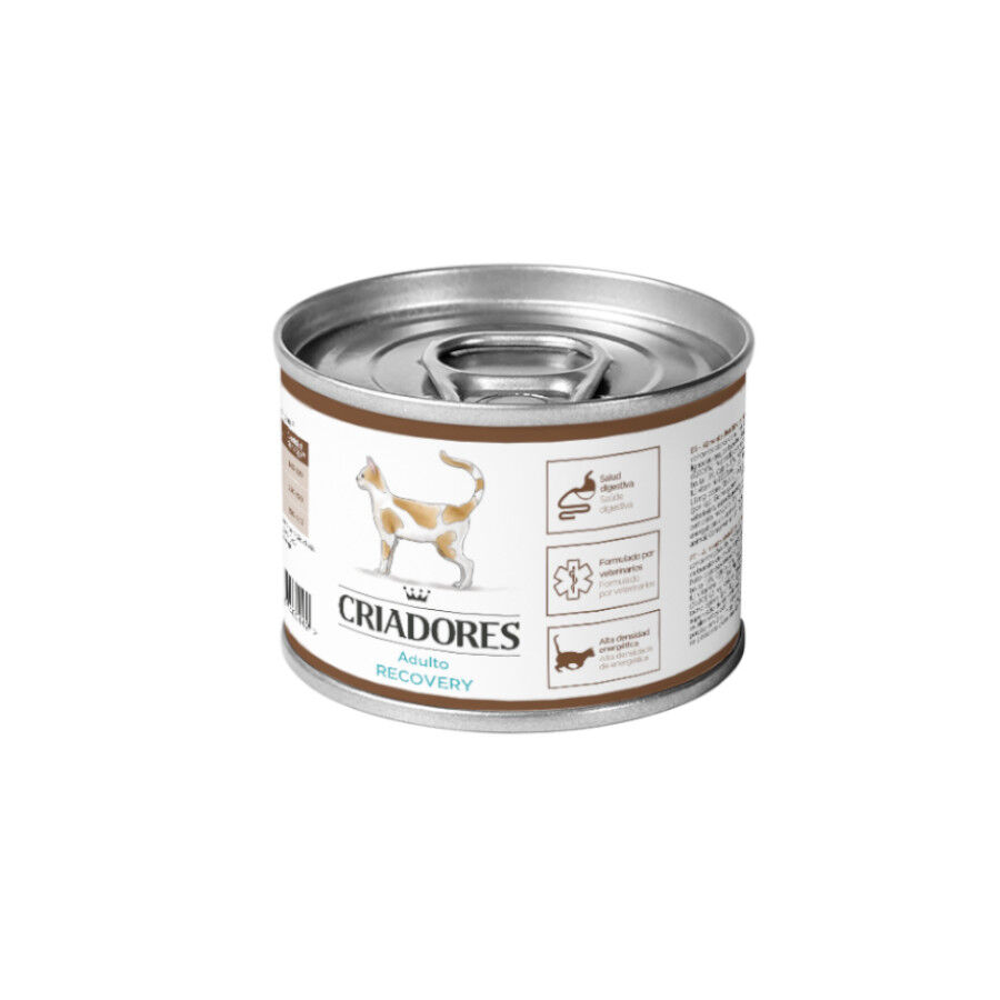 Criadores Dietetic Adulto Recovery lata para gatos