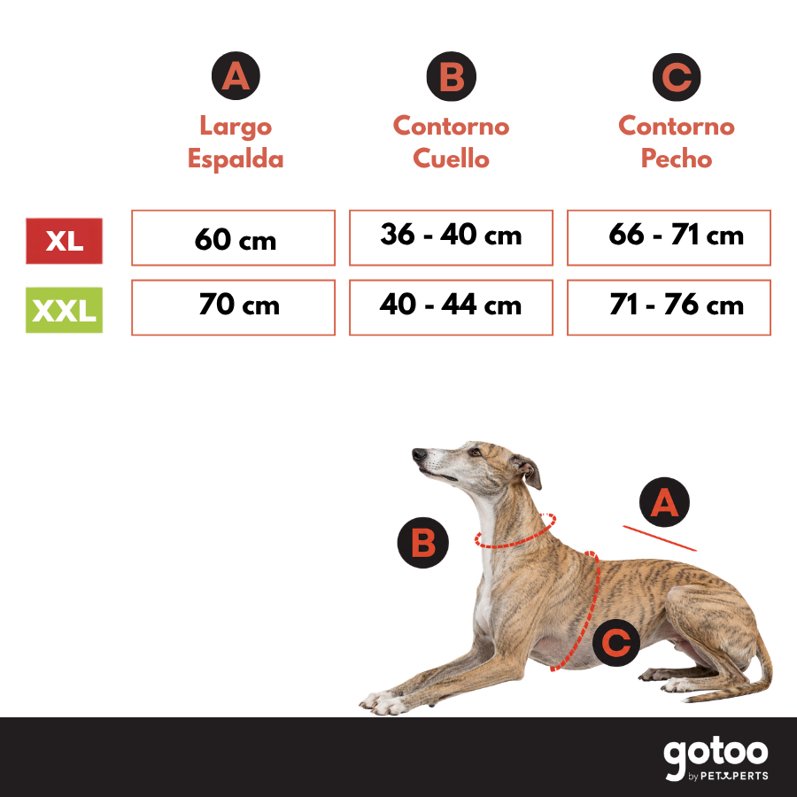 Gotoo Chaqueta Impermeable Rojo para galgos, , large Imagen numero 5