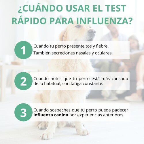 Lab4pets test r&aacute;pido para gripe canina, , large Imagen numero 2