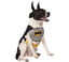 Disfraz de Batman Clásico para perro, , large indicador imagen numero 1