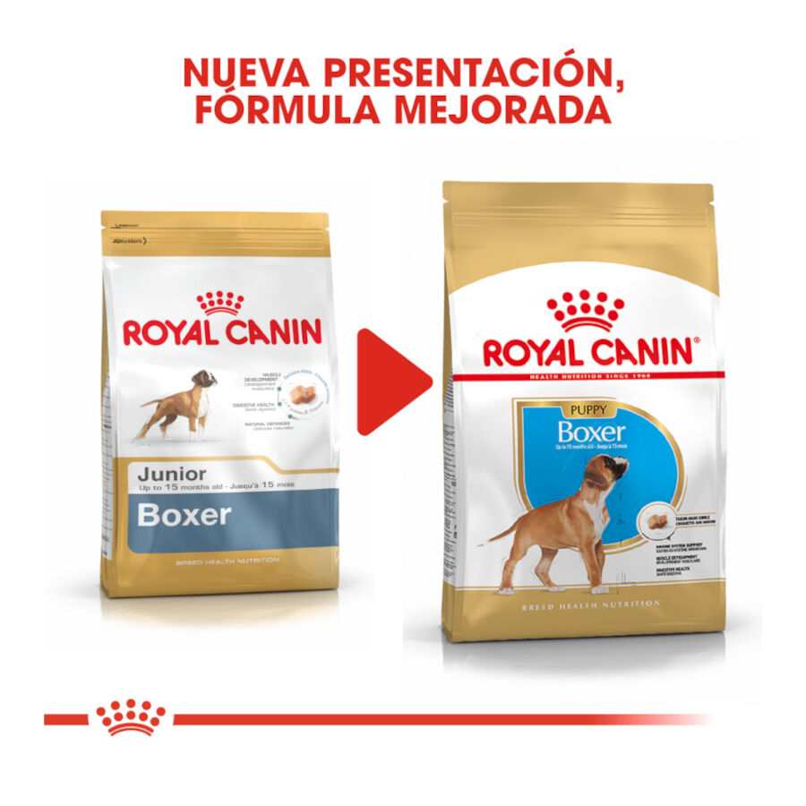 Royal Canin Puppy Boxer pienso para cachorros thumbnail