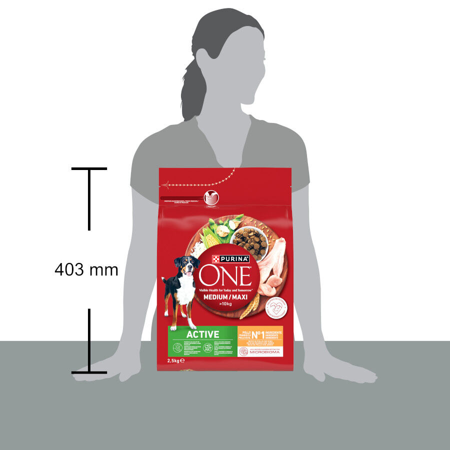 7 kg Purina One Active Pienso Pollo para perros, , large Imagen numero 4