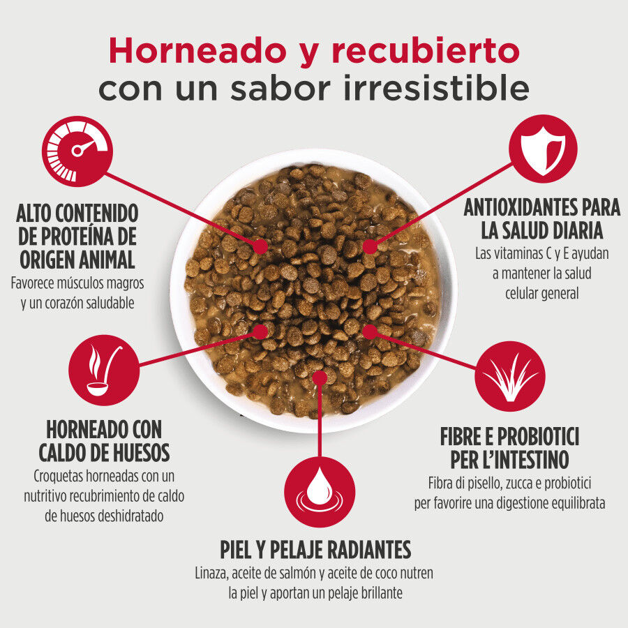 2 kg Nulo Baked & Coated Pienso Pollo Pavo y Pato para gatitos, , large Imagen numero 4