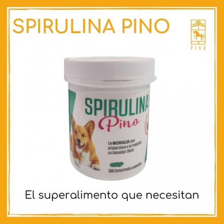 Laboratorios pino spirulina comprimidos pino para mascotas thumbnail