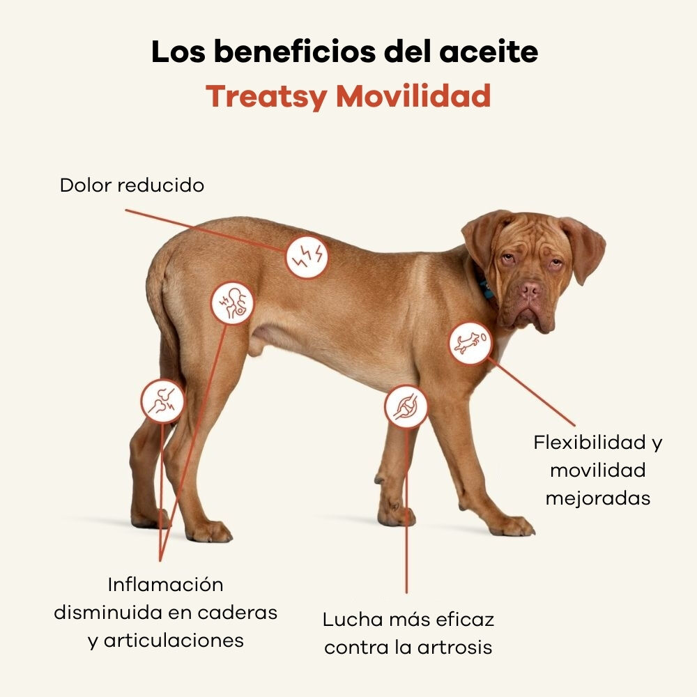 Treatsy Aceite Natural de Pescado Omega-3 &ndash; Movilidad para Perros y Gatos, , large Imagen numero 3