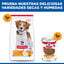 14 kg Hill's Science Plan Adult Light Medium Pollo pienso para perros, , large indicador imagen numero 7