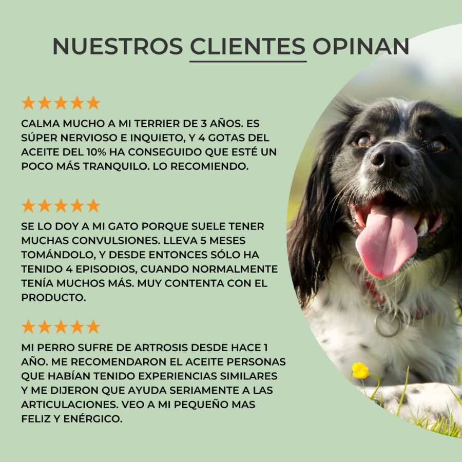 Feel Cocoa Aceite CBD 10% para mascotas thumbnail