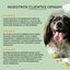 Feel Cocoa Aceite CBD 10% Perros y Gatos | 10 ml, , large indicador imagen numero 3