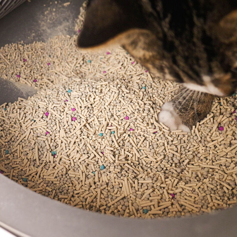 Orbitaler Yupiter MoonDust arena mixta de tofu y bentonita sódica aglomerante para gatos thumbnail