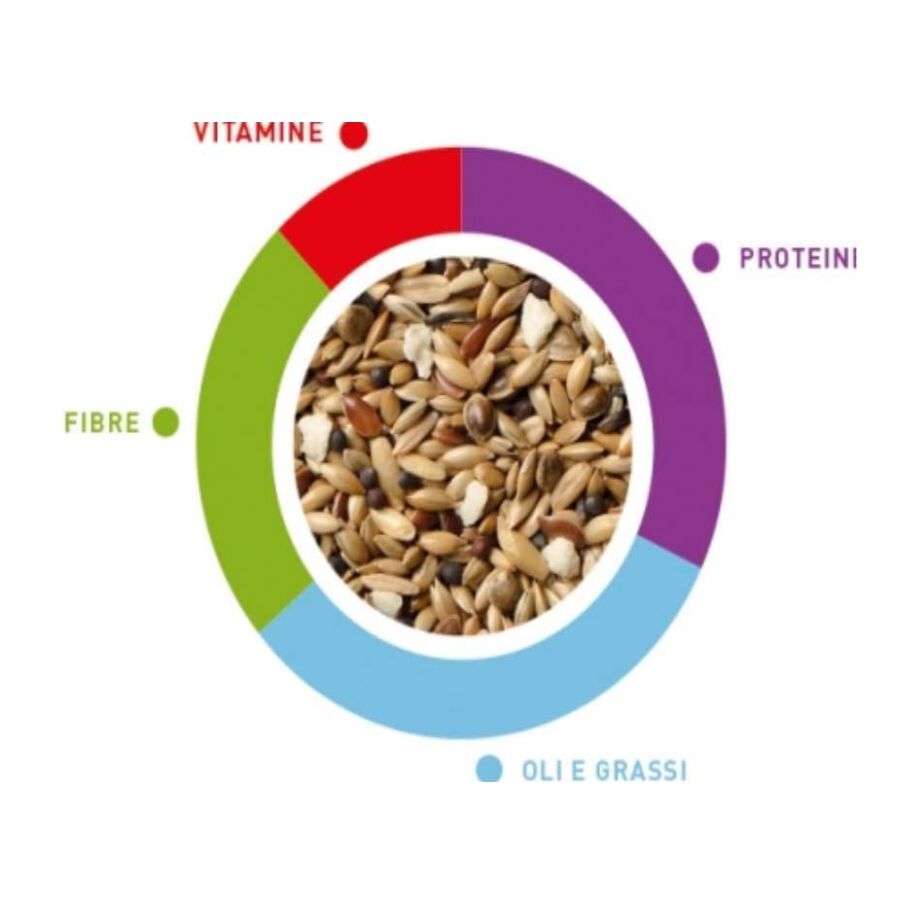 Pienso completo para canarios, , large Imagen numero 2