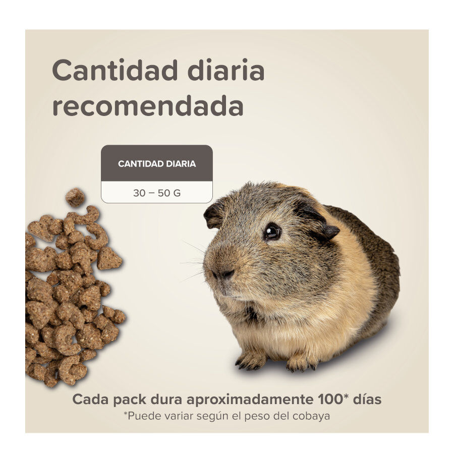 Beaphar Care + Pienso para cobayas, , large Imagen numero 7