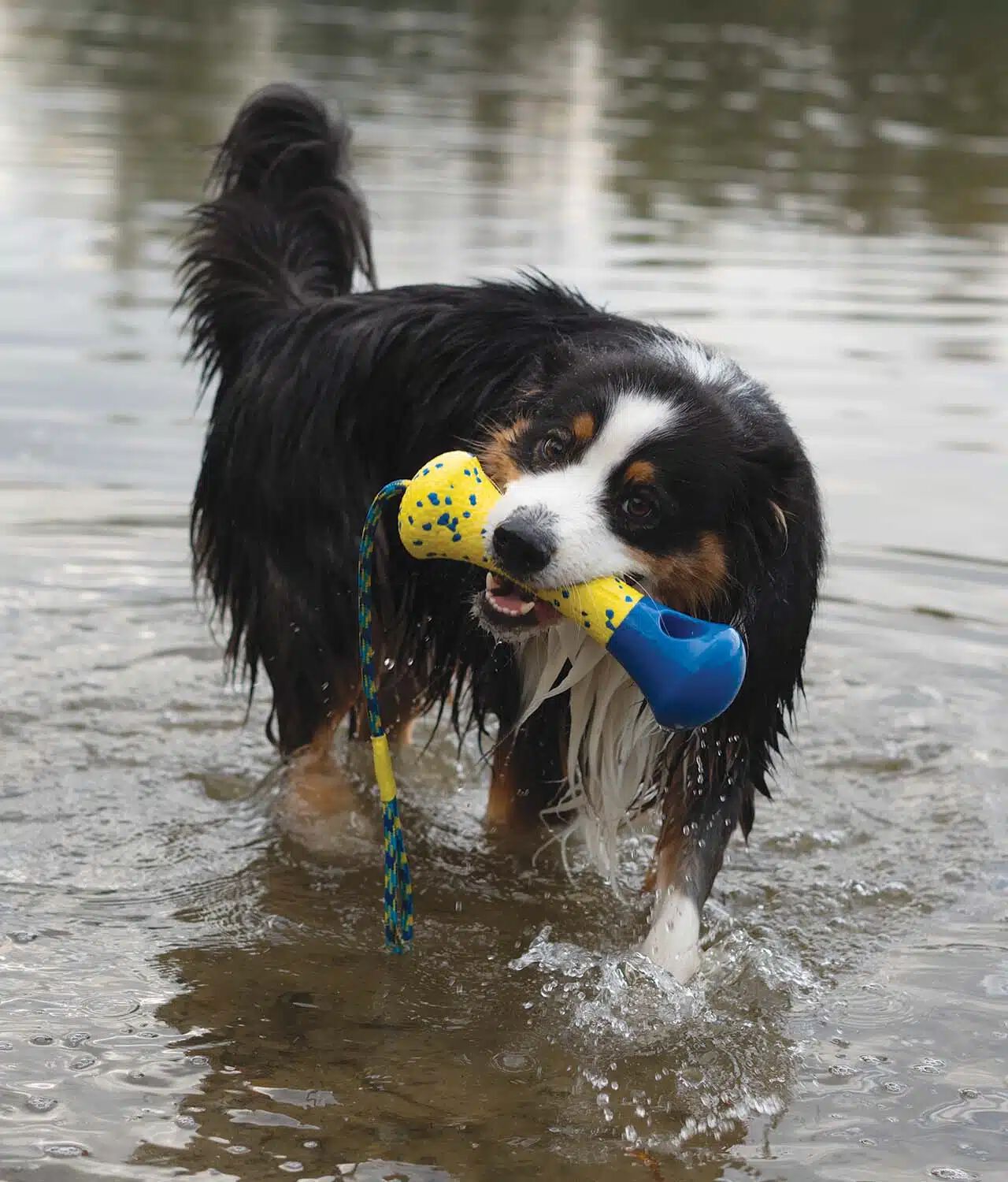 Zeus Nitro&trade; Boya Lastrada , 26cm, , large Imagen numero 4