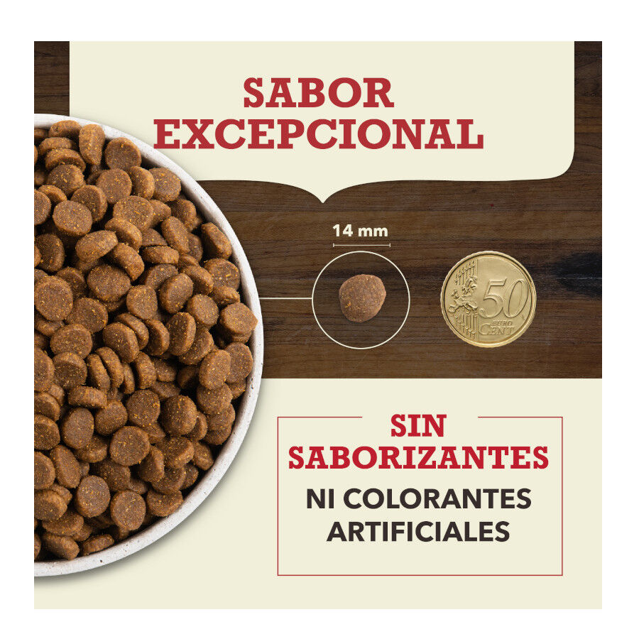 11.4 kg Acana Red Meat pienso para perros, , large Imagen numero 5