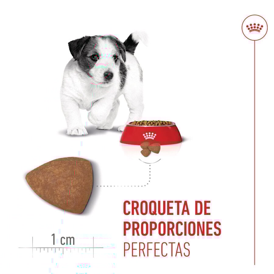 Royal Canin Mini Puppy pienso para perros thumbnail