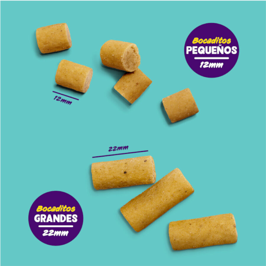 50 g Edgard & Cooper Bocaditos Grande de Pollo para perros, , large Imagen numero 4