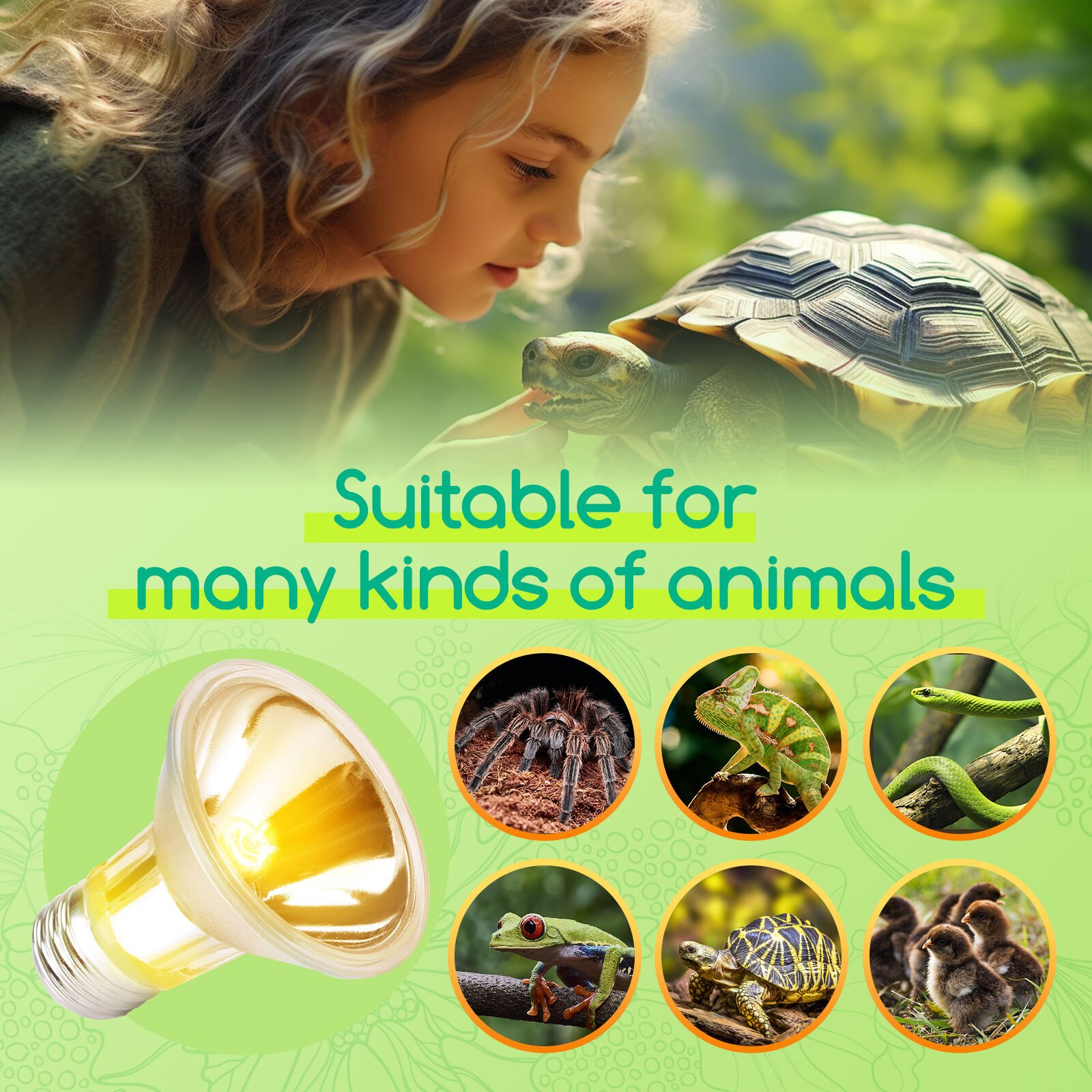 Nobleza Bombilla De Calentamiento De Reptile para terrario thumbnail