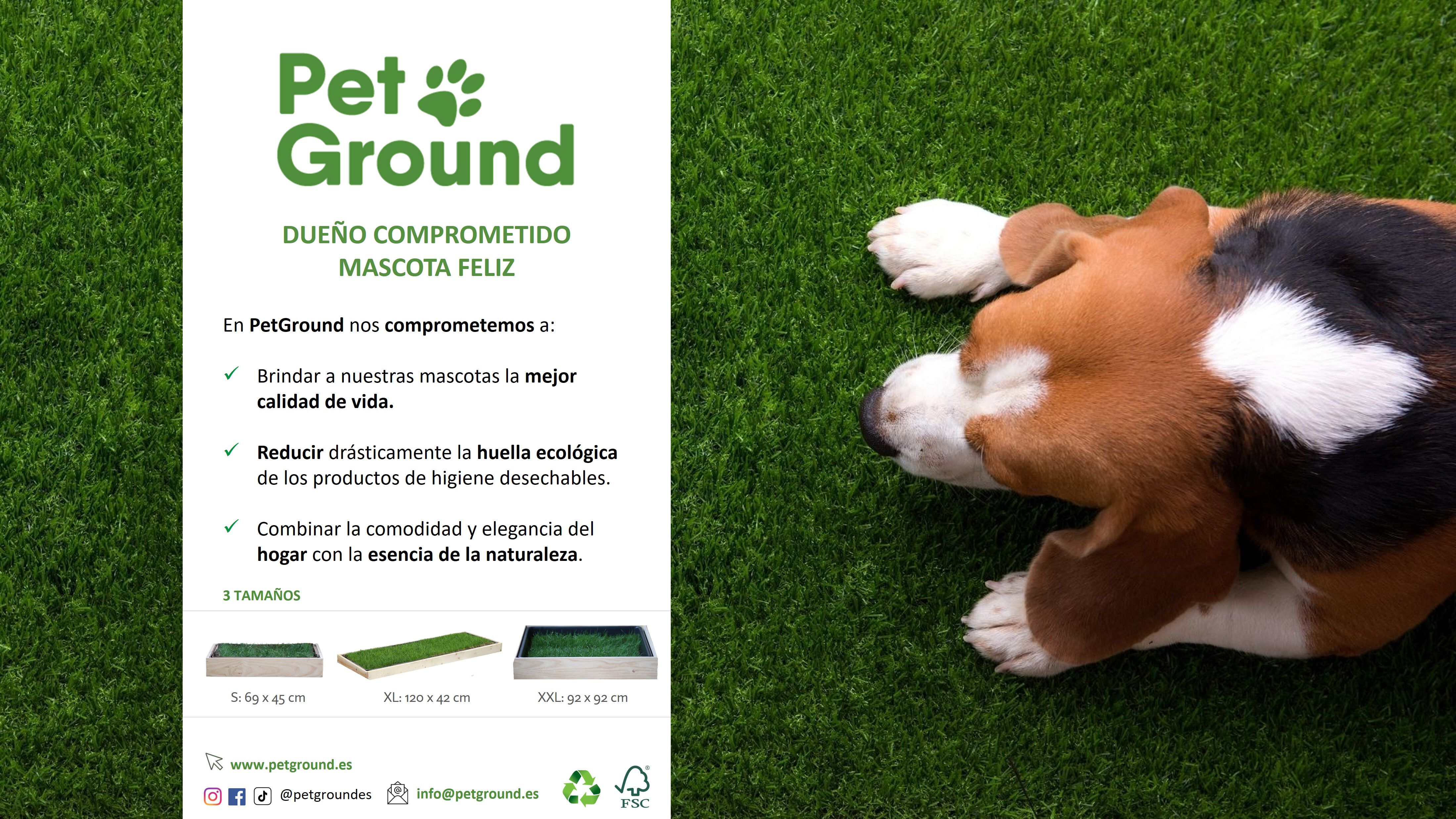 Petground, Cama para conejos, Caja de Madera, Accesorio, Mueble, Standard, , large Imagen numero 5