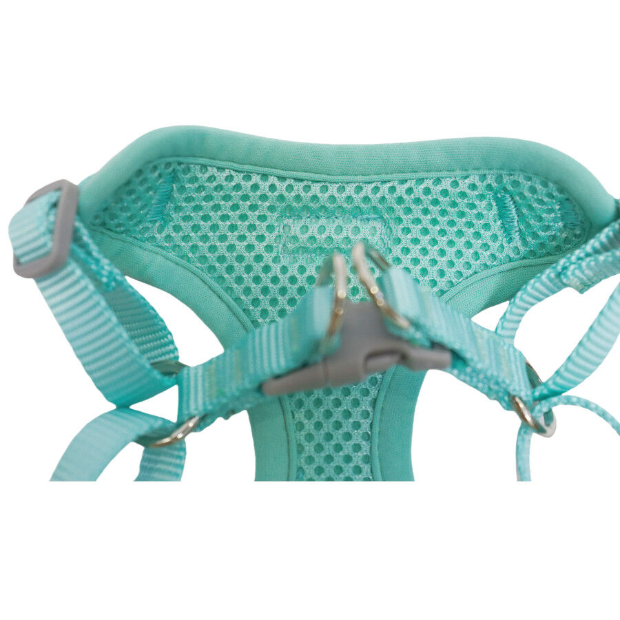 Gotoo Arnés ajustable estampado estrellas verde para cachorros thumbnail
