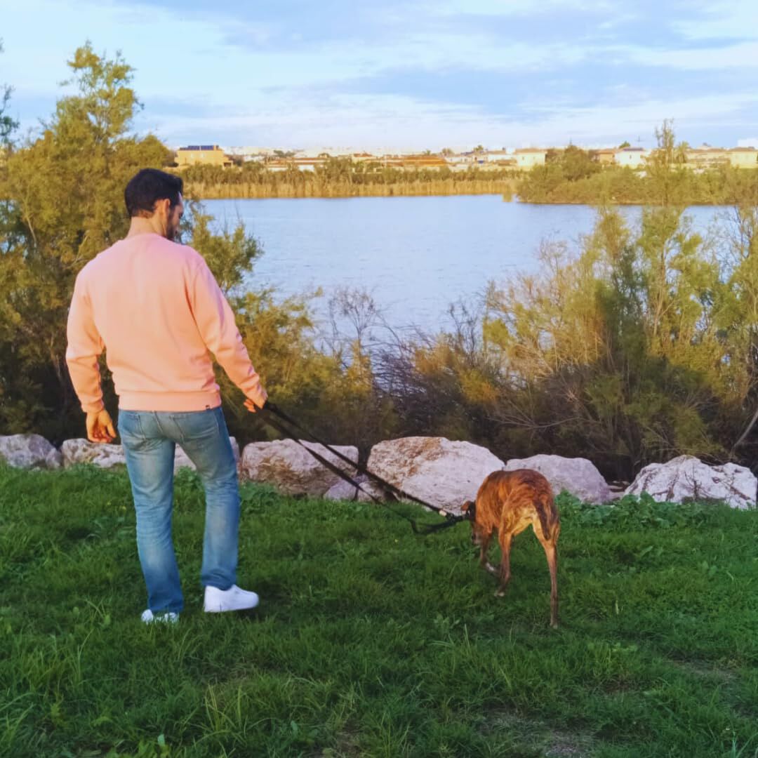 EL GALGUITO VALIENTE Correa multiposicion manos libres para perro thumbnail