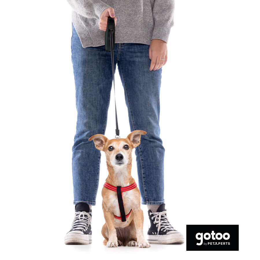 Gotoo Correa extensible negra para perros thumbnail