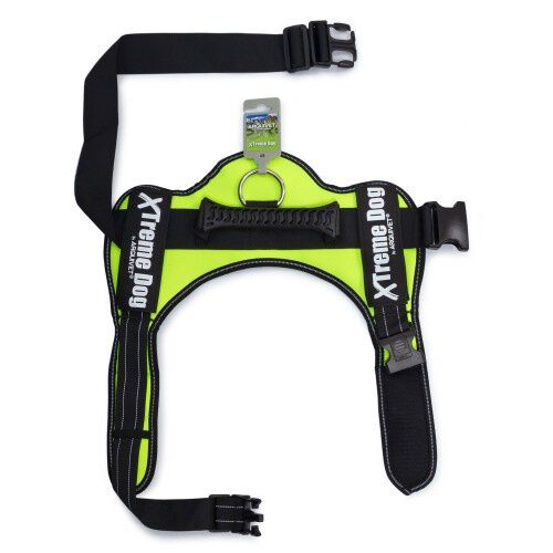 Arn&eacute;s Xtreme Ne&oacute;n para perros color Verde, , large Imagen numero 2