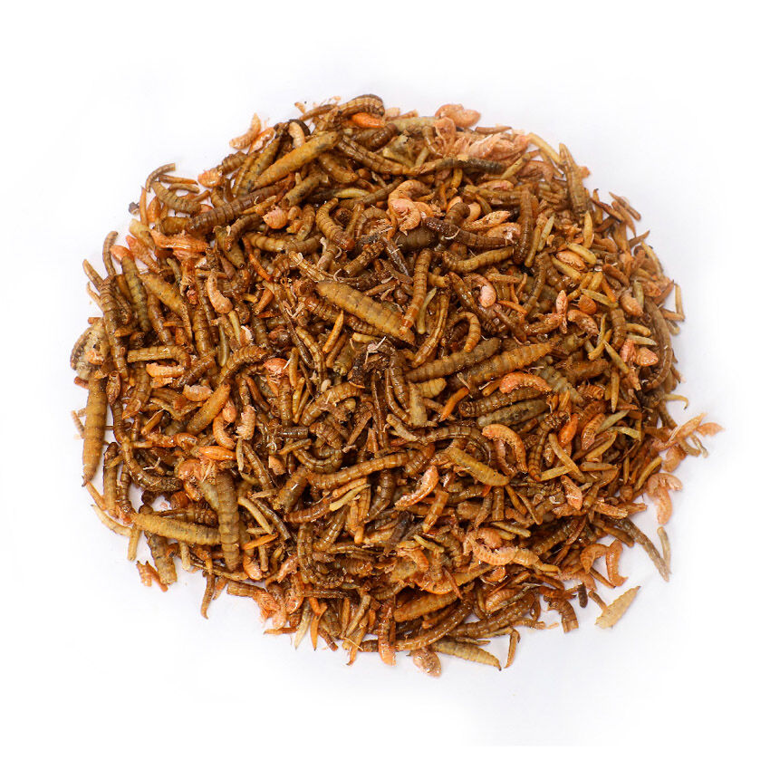 Wormfeed Mix mezcla insectos para aves thumbnail