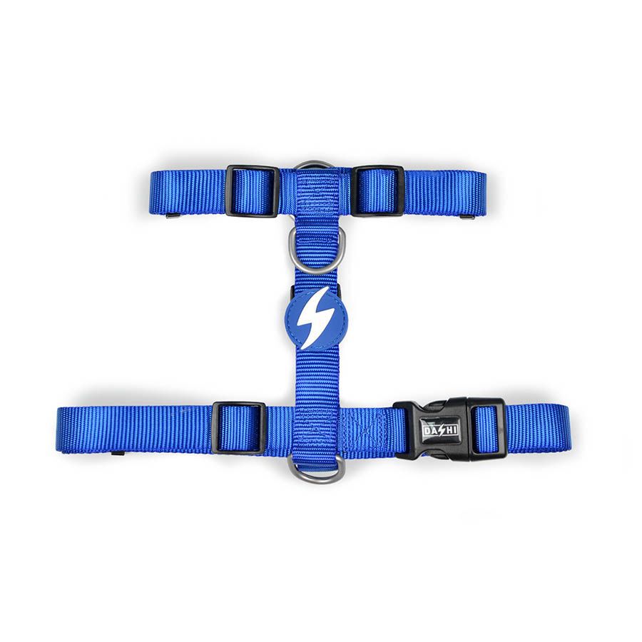 Arn&eacute;s de nylon para perros color Azul, , large Imagen numero 1