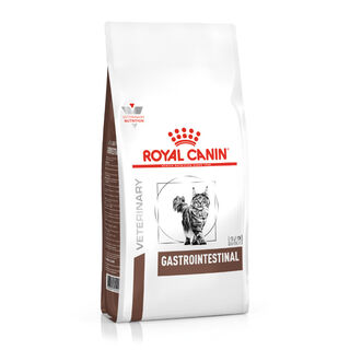 Royal Canin Veterinary Gastrointestinal pienso para gatos