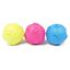 Pelota con huellas juguete para perros, , large indicador imagen numero 1