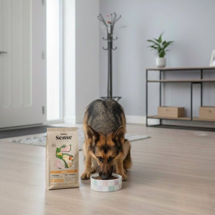 Dibaq Sense Low Grain Adult Pollo Pienso para perros, , large Imagen numero 5