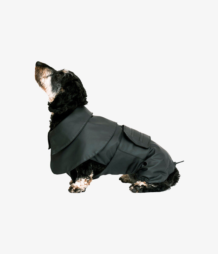 Pet and Co Abrigo Negro Milo para Perros, , large Imagen numero 2