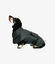 Pet and Co Abrigo Negro Milo para Perros, , large indicador imagen numero 2