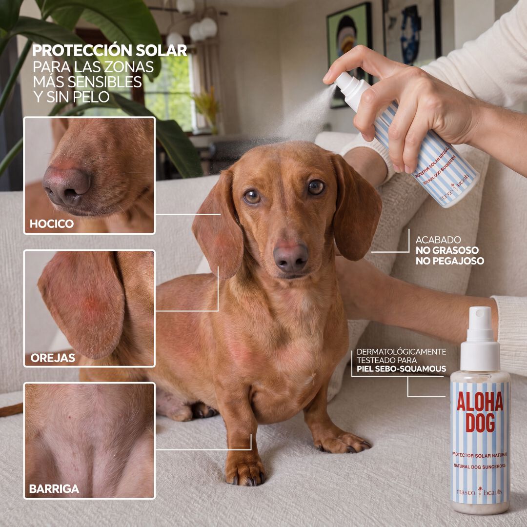 Pack Verano Teckel &middot; Champ&uacute; Jojoba y Manzanilla + Spray Solar SPF 30 &middot; Brillo, piel calmada y protecci&oacute;n solar para Dachshund de pelo corto &middot; Hecho en Espa&ntilde;a, , large Imagen numero 2